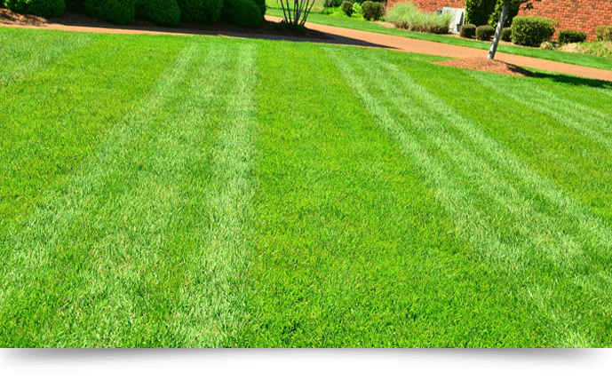 Landscaping Ocean Monmouth County, Landscapers Monmouth County New Jersey